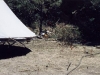 campsite04.jpg